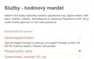 hodinový manžel Pardubice - služby